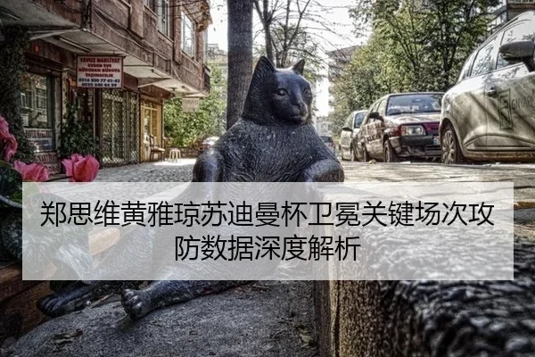 郑思维黄雅琼苏迪曼杯卫冕关键场次攻防数据深度解析