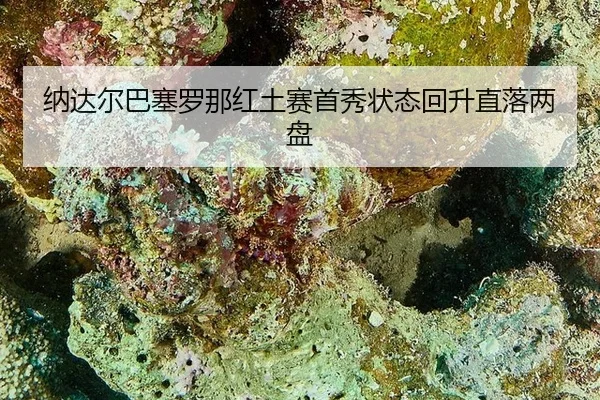 na-da-er-ba-sai-luo-na-hong-tu-sai-shou-xiu-zhuang-tai-hui-sheng-zhi-luo-liang-pan-3-192.jpg