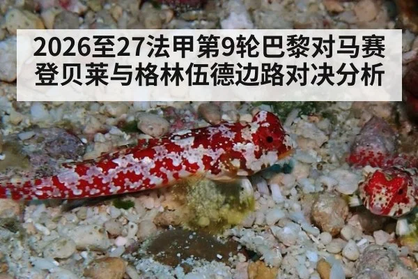 2026至27法甲第9轮巴黎对马赛登贝莱与格林伍德边路对决分析